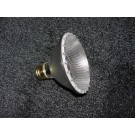 PAR 30 Light Bulb - 75 Watt